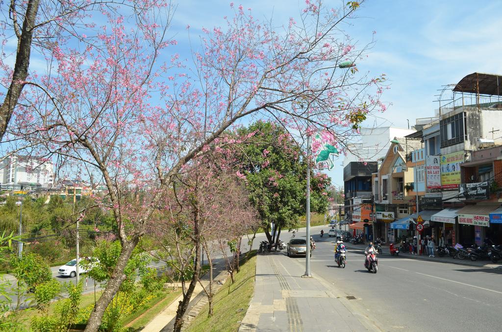 大叻T&K旅馆公寓 外观 照片